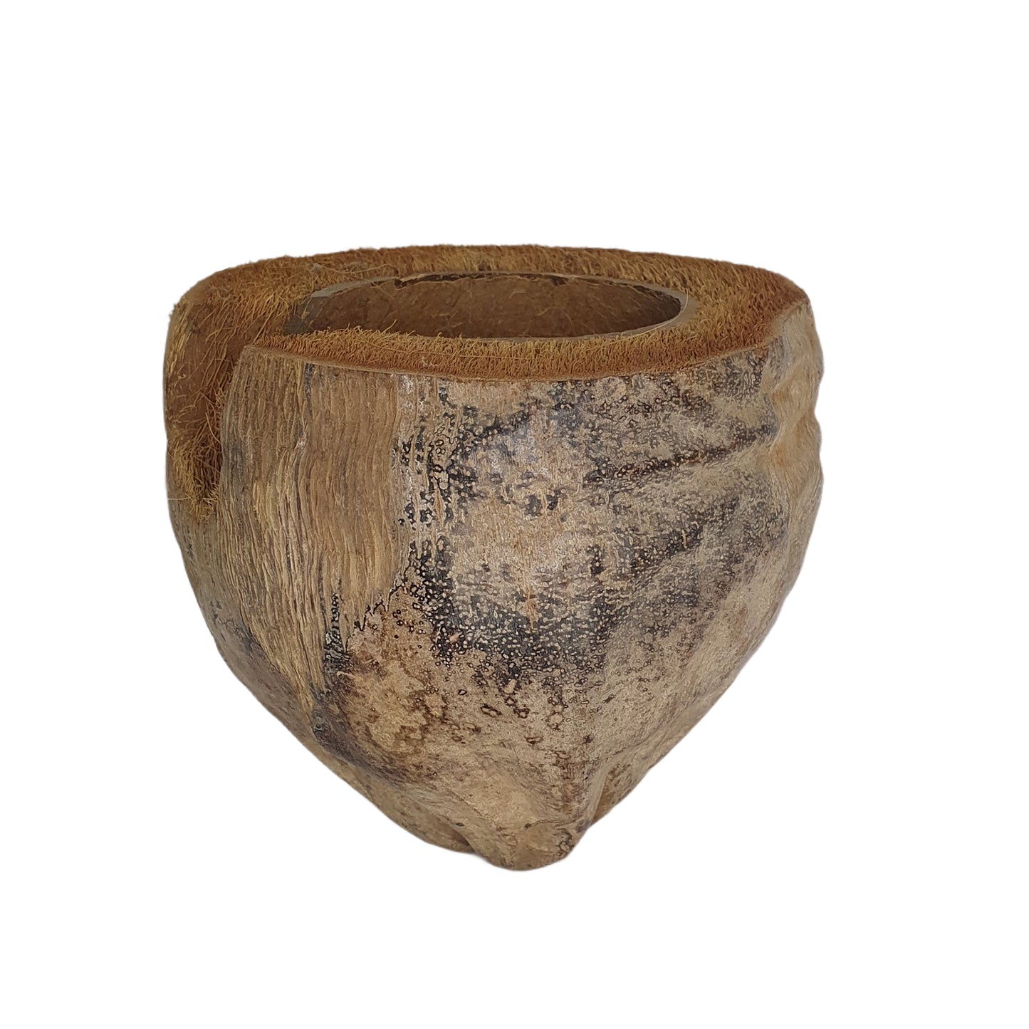 مخبأ بيفينرو ناتشورال 3/4 للكاكاو بتصميم قشر (مقاس مجاني)