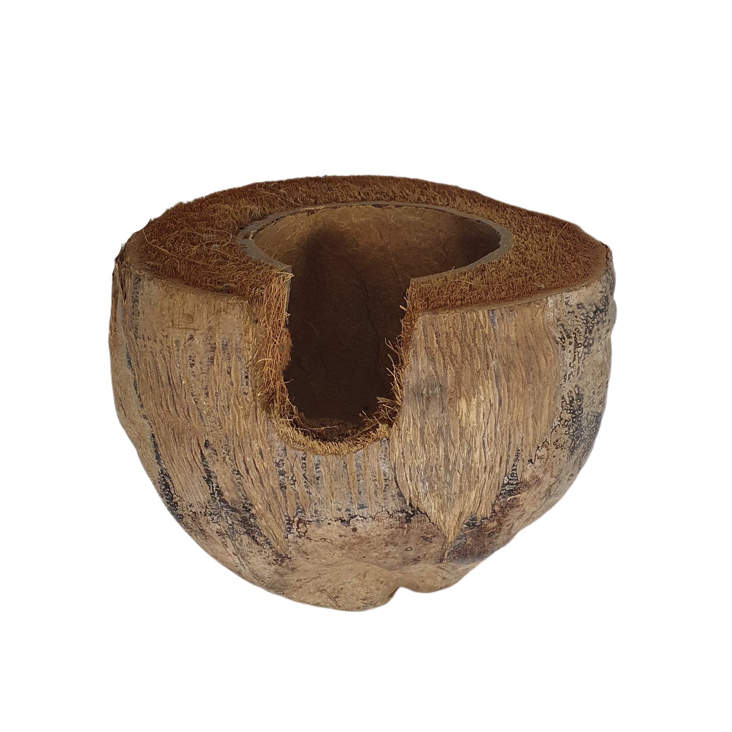 مخبأ بيفينرو ناتشورال 3/4 للكاكاو بتصميم قشر (مقاس مجاني)