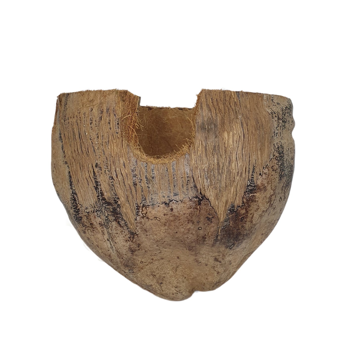 مخبأ بيفينرو ناتشورال 3/4 للكاكاو بتصميم قشر (مقاس مجاني)