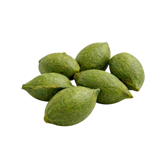 Lakpura® Terminalia Catappa (Kottamba) بذور كاملة