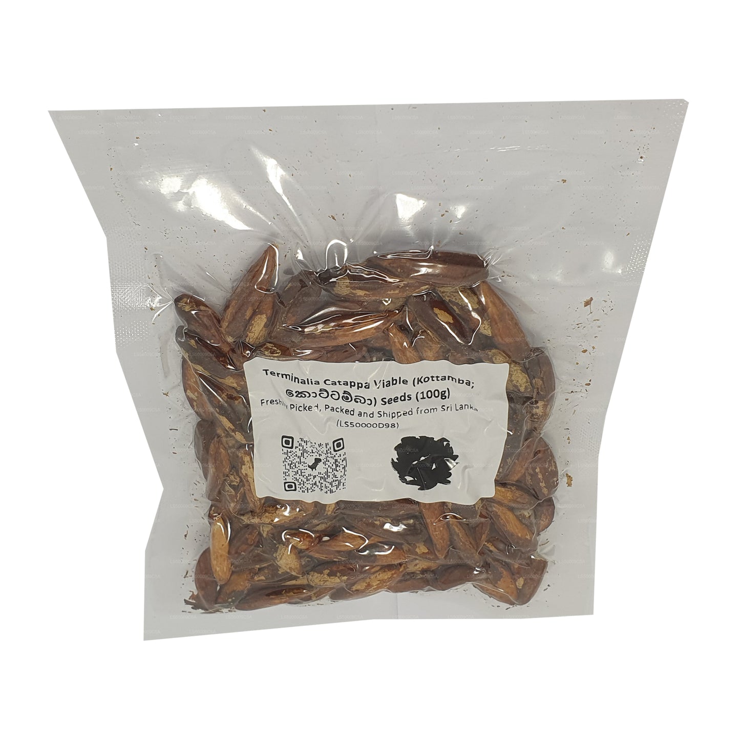 Lakpura® Terminalia Catappa Viable (Kottamba) Seeds