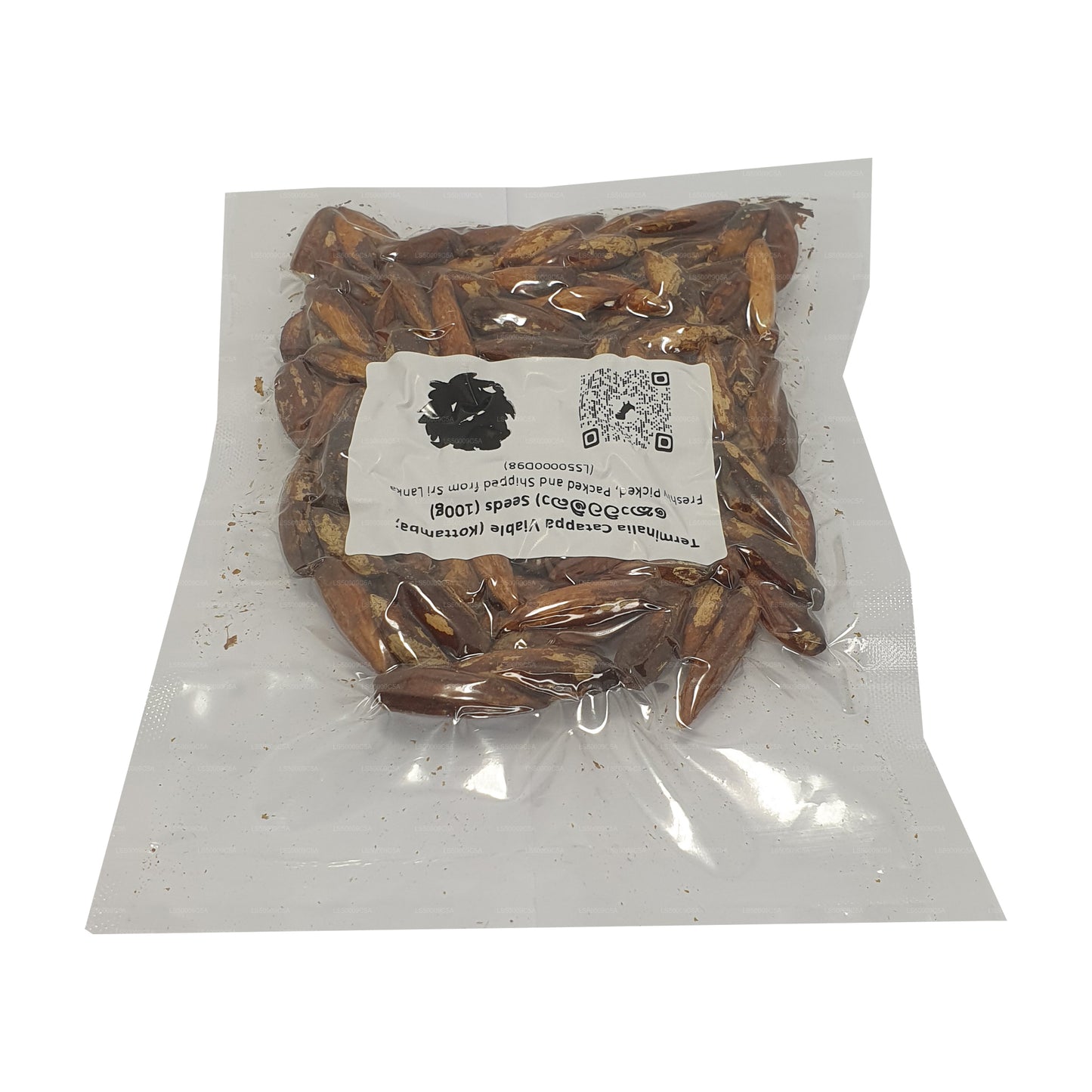 Lakpura® Terminalia Catappa Viable (Kottamba) Seeds