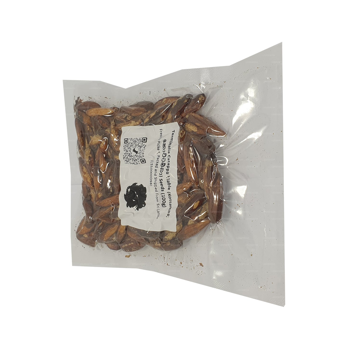 Lakpura® Terminalia Catappa Viable (Kottamba) Seeds