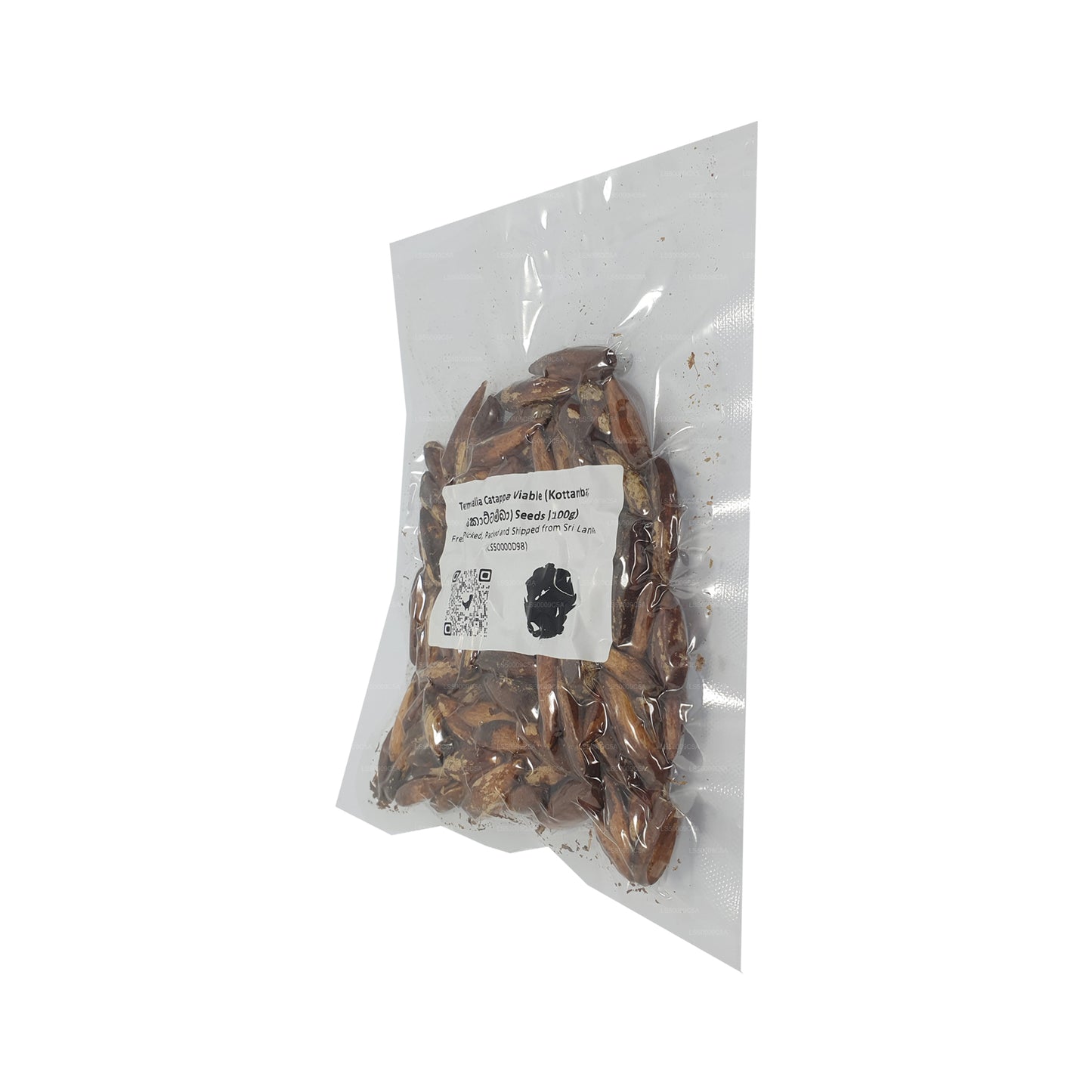 Lakpura® Terminalia Catappa Viable (Kottamba) Seeds