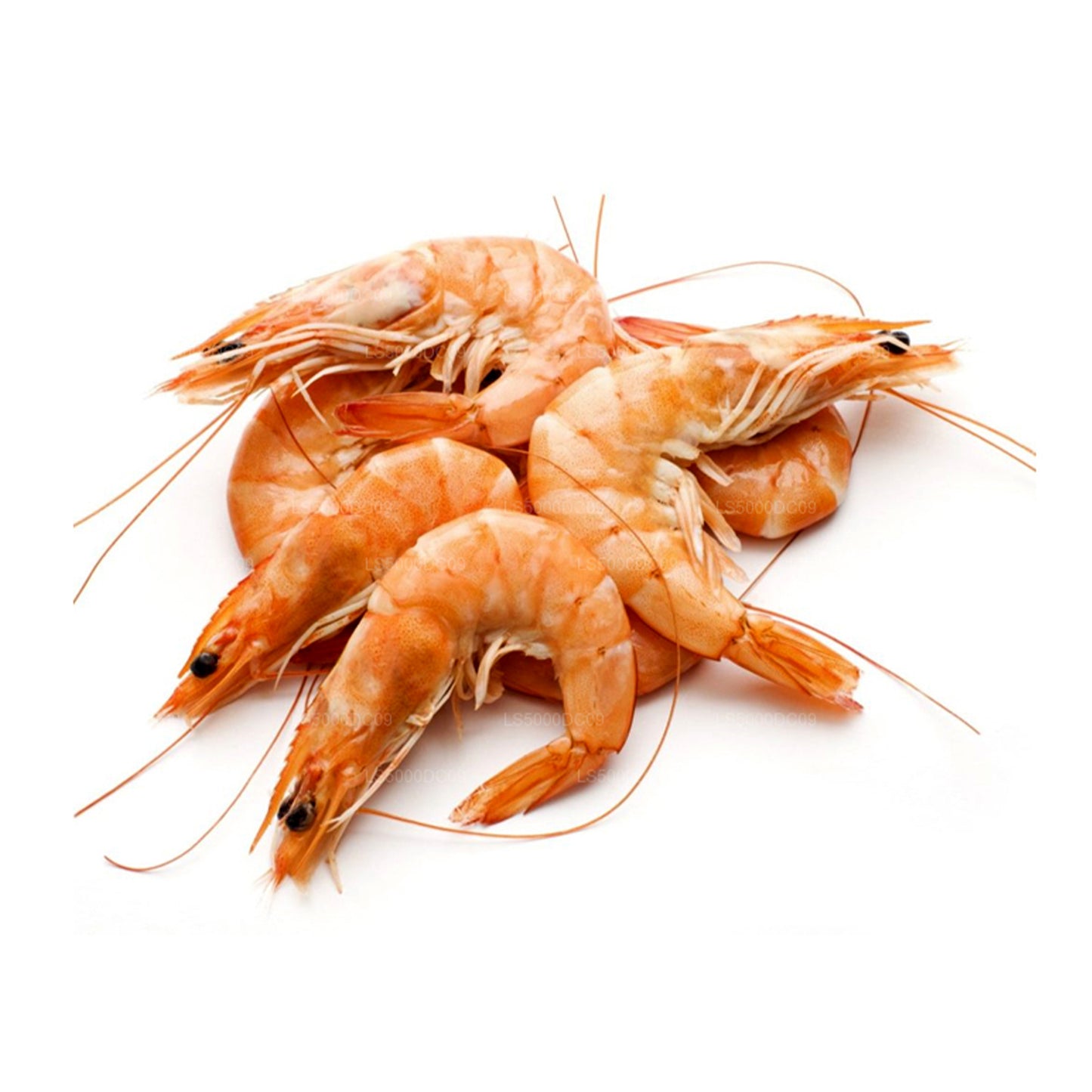 Lakpura Dried Prawns (200g)