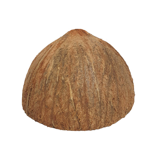 أنصاف قشر جوز الهند لاكبورا®