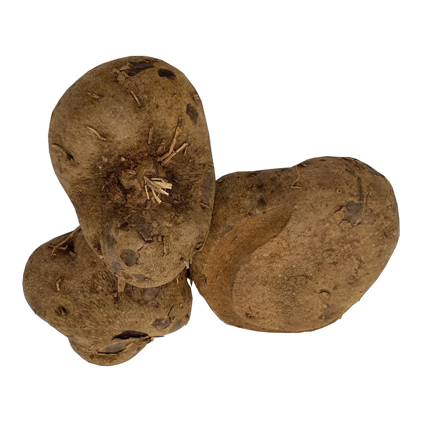 Lakpura® Dandila - Purple Yam - Dandila Ala