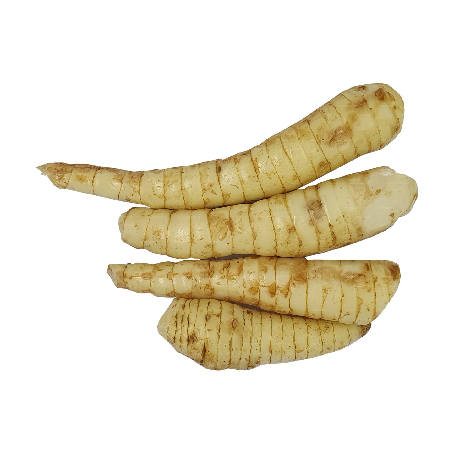 Lakpura® Hulankeeriya (Aruukka)