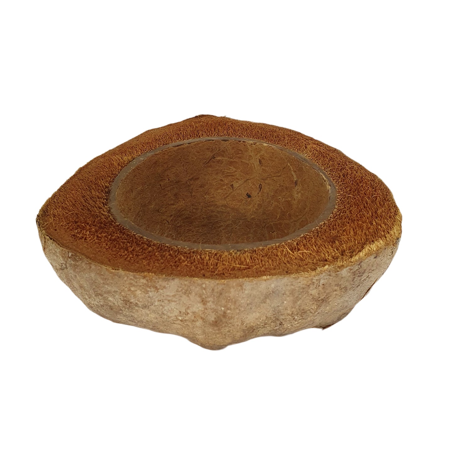 تصميم وعاء زراعة جوز الهند الطبيعي من Bivenro (حجم مجاني)