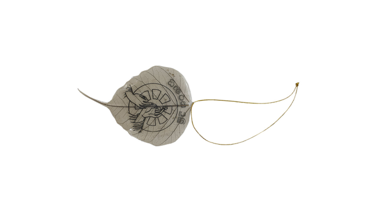 زخرفة معلقة بأوراق بودي الطبيعية