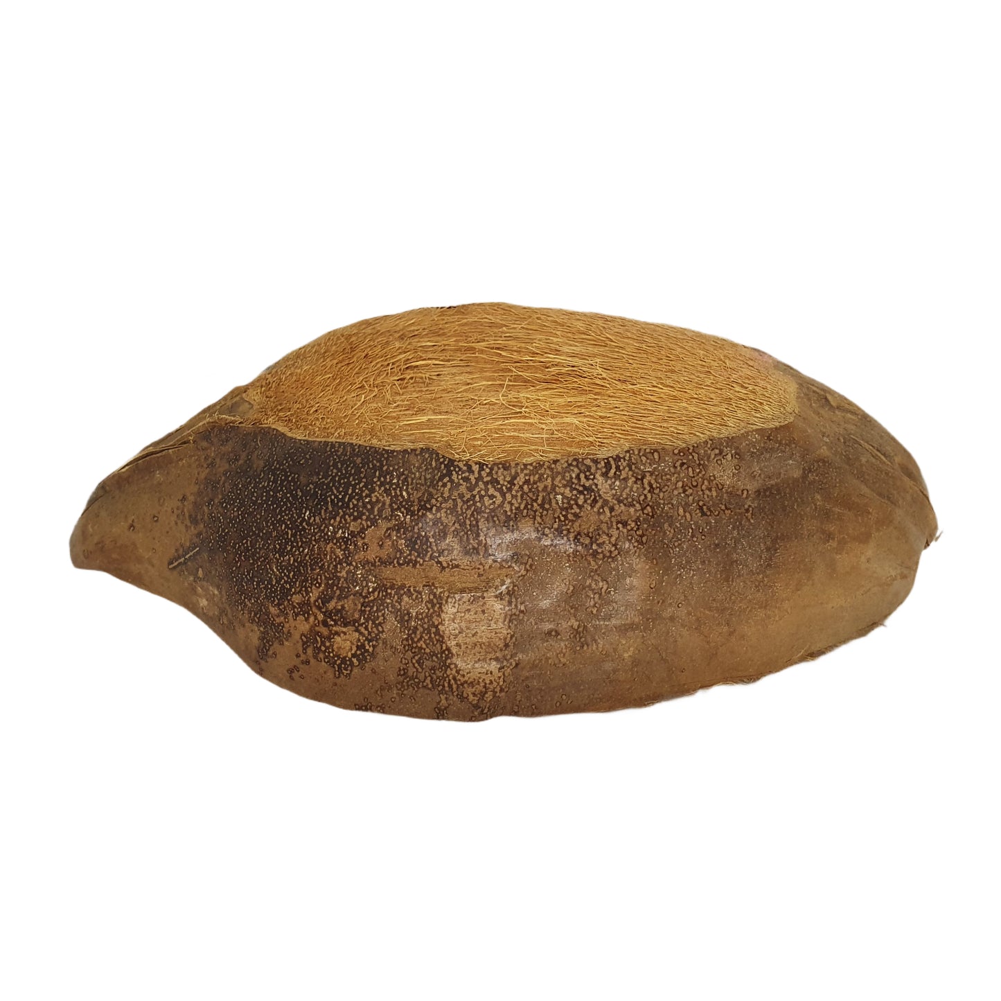 وعاء للحيوانات الأليفة مصنوع من جوز الهند الطبيعي من بيفينرو (مقاس مجاني)