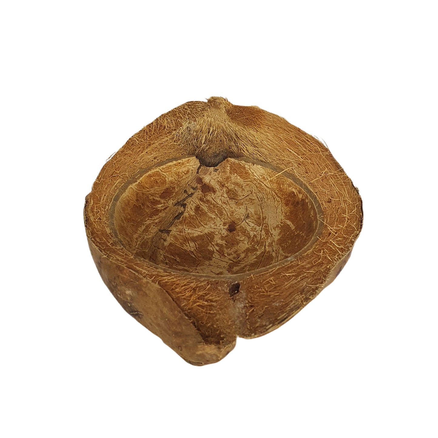 وعاء للحيوانات الأليفة مصنوع من جوز الهند الطبيعي من بيفينرو (مقاس مجاني)
