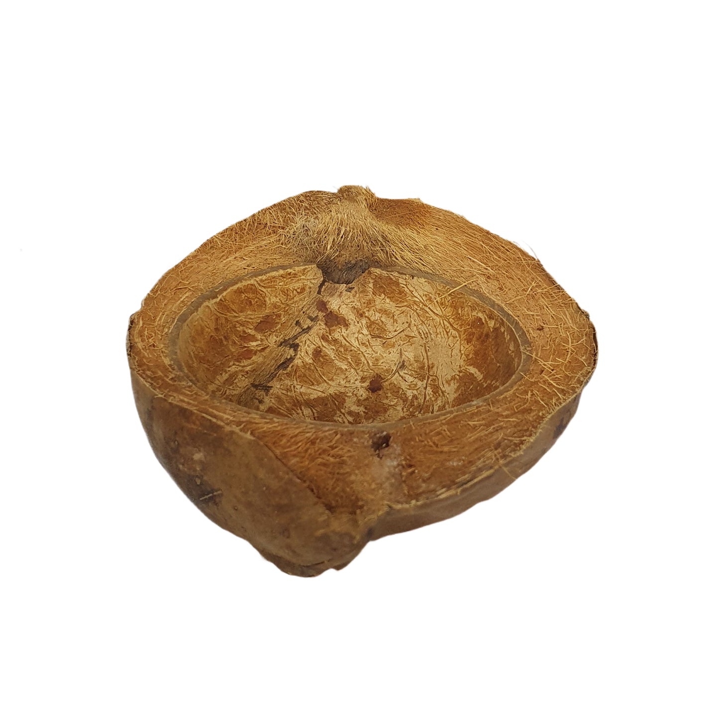 وعاء للحيوانات الأليفة مصنوع من جوز الهند الطبيعي من بيفينرو (مقاس مجاني)