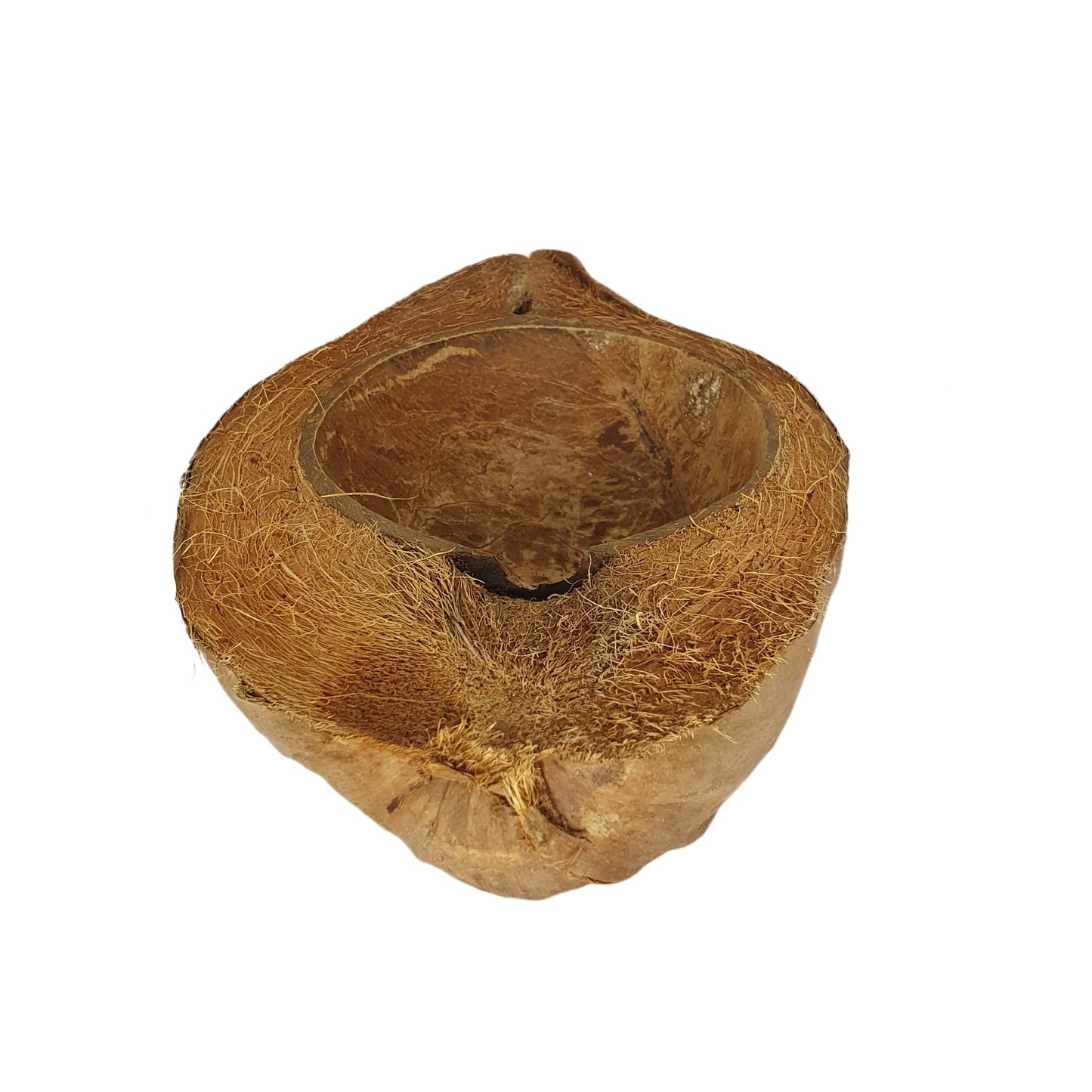وعاء للحيوانات الأليفة مصنوع من جوز الهند الطبيعي من بيفينرو (مقاس مجاني)