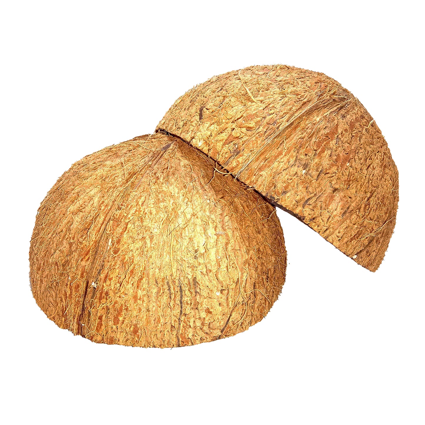Lakpura® Coconut Shell Halves