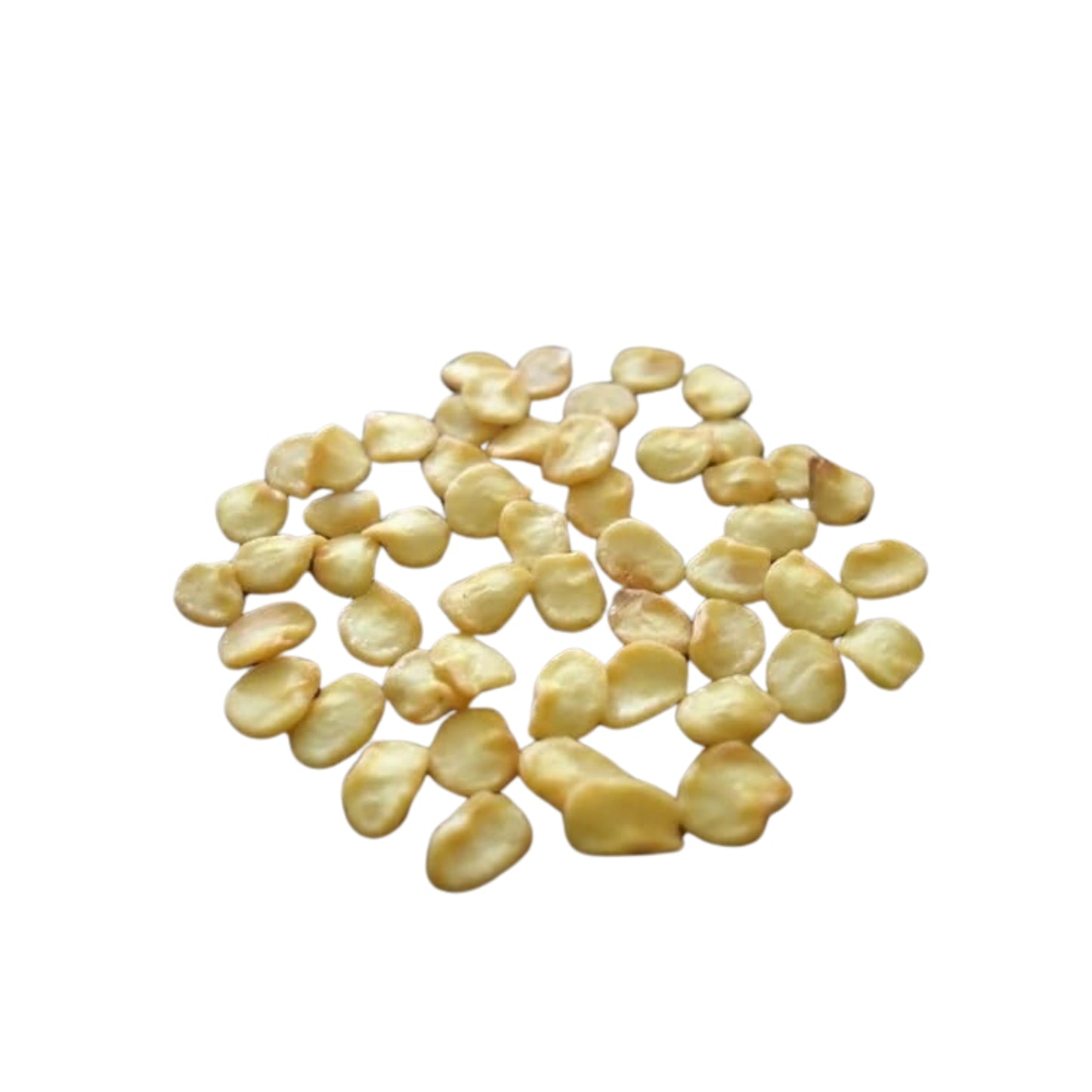 Lakpura® Scotch Bonnet (Nai Miris) Seeds