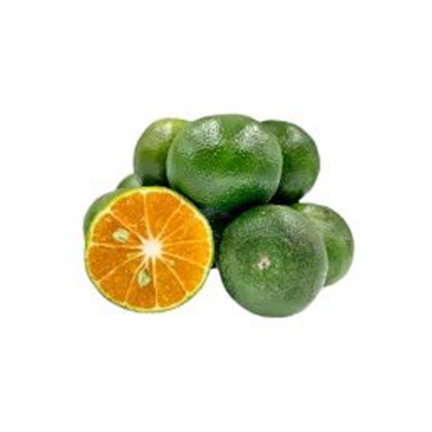 Lakpura Nas Narang Grafted Plant