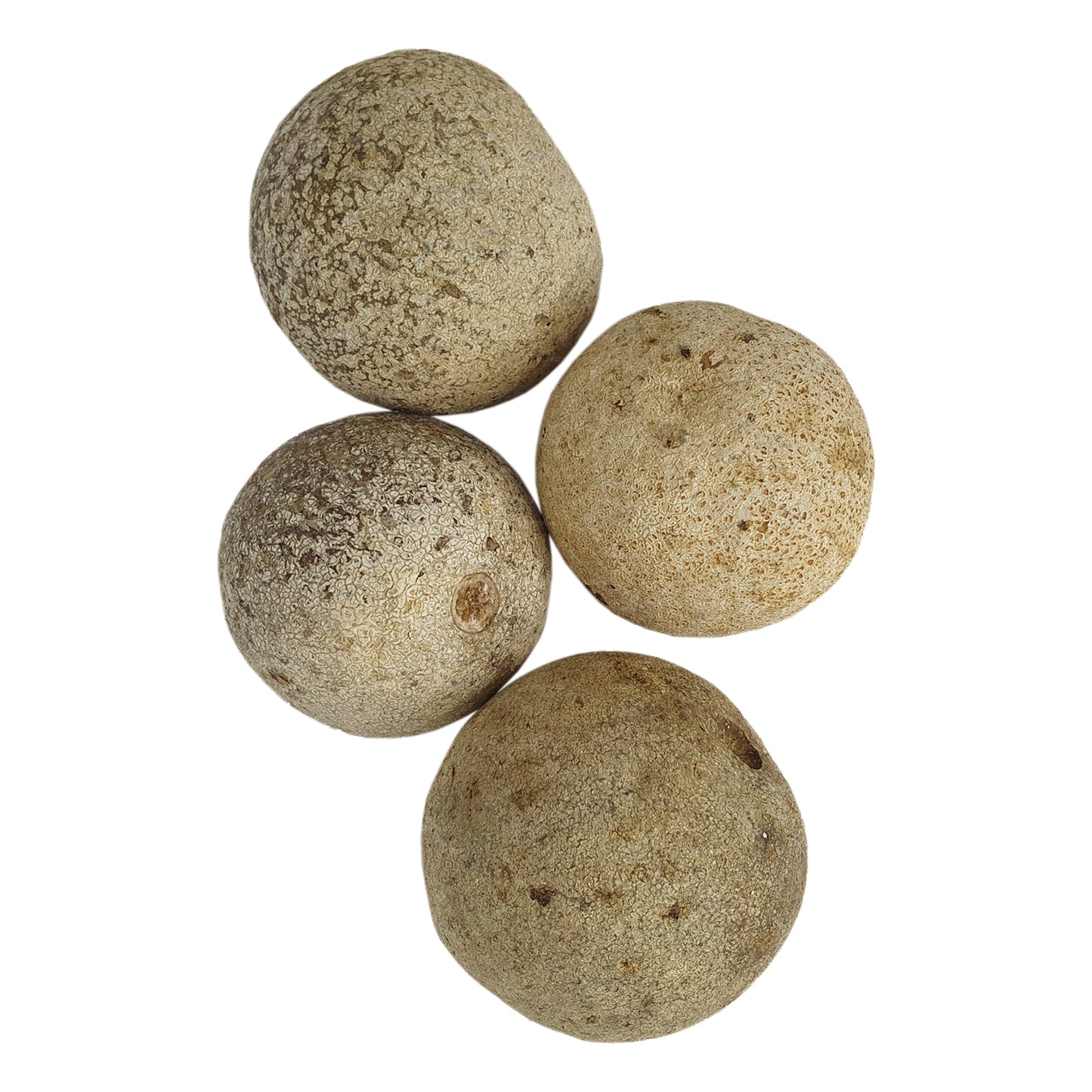 Lakpura® Wood Apple (Divul)