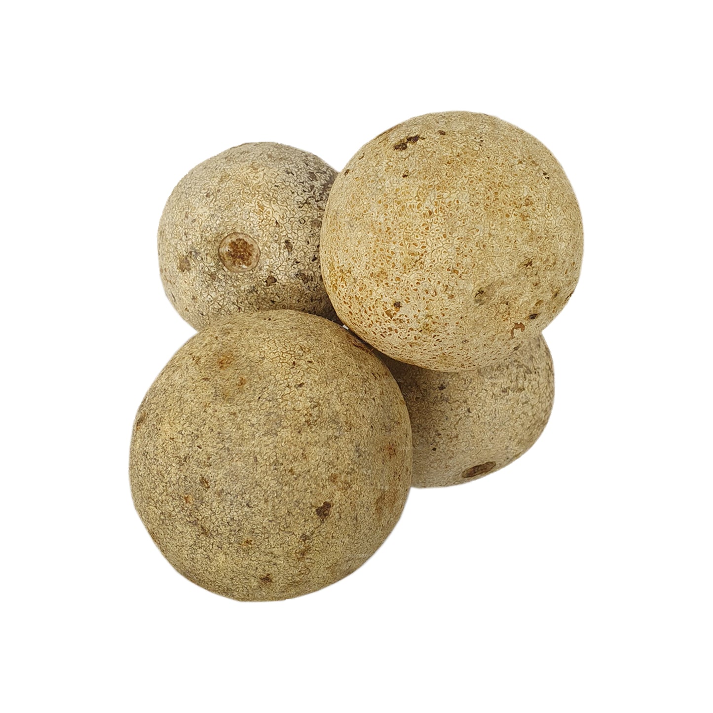 Lakpura® Wood Apple (Divul)