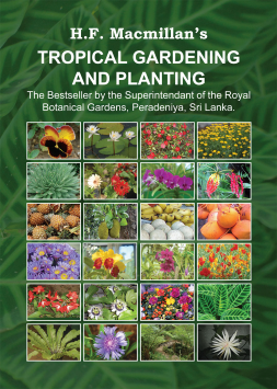 Tropical Gardening and Planting