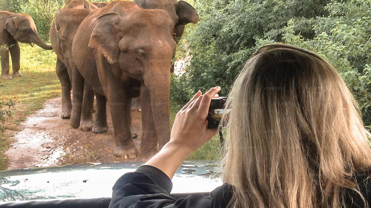 Udawalawe and Galle from Colombo (2 Days)