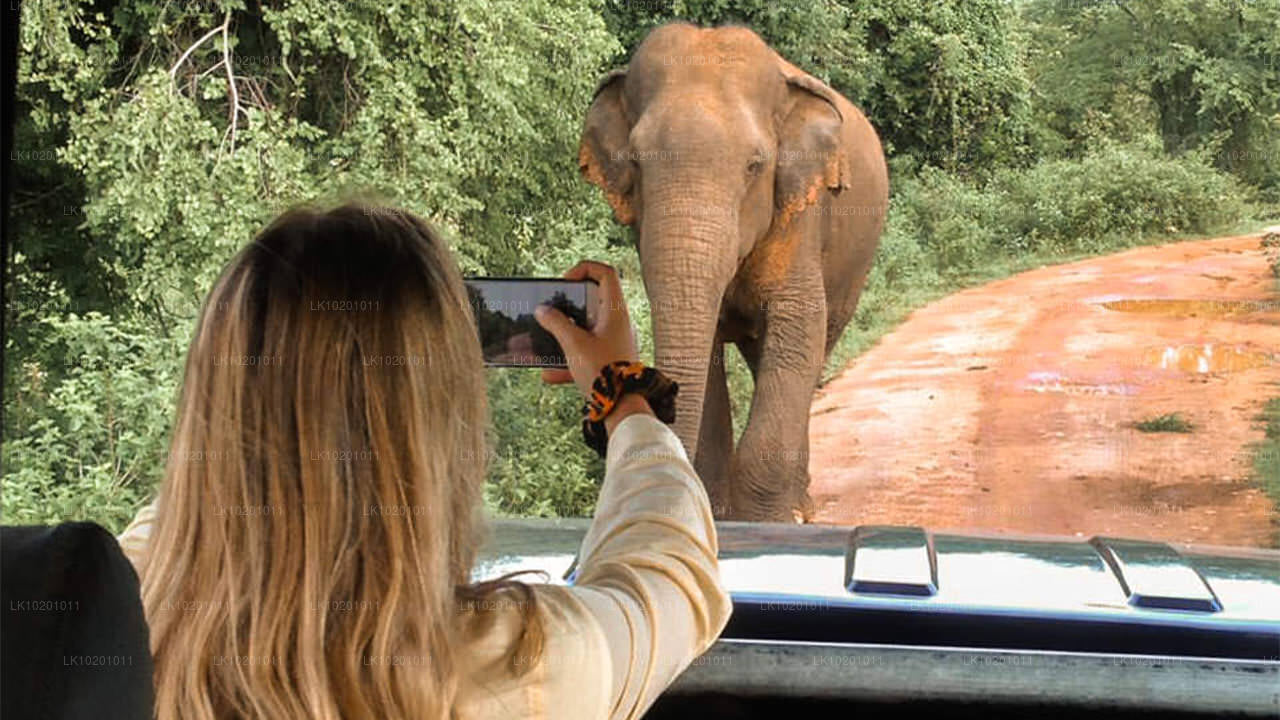 Udawalawe and Galle from Colombo (2 Days)