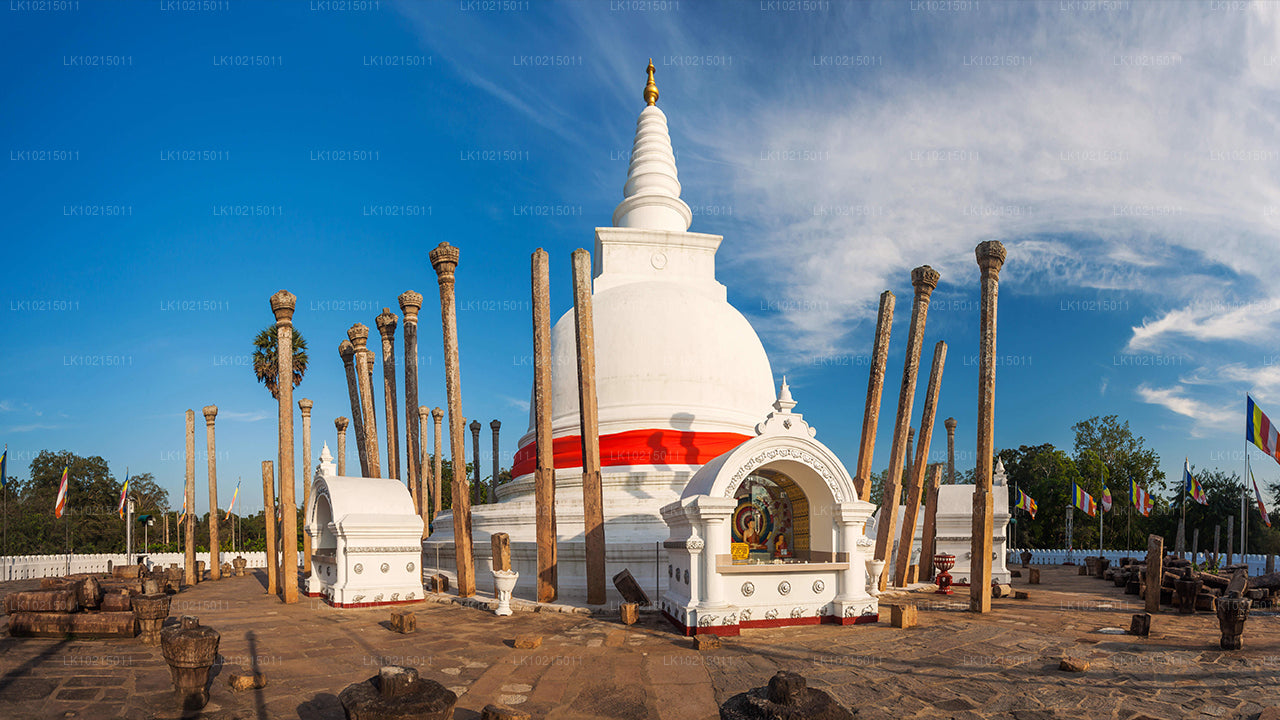 Wild Wonders and Sacred Spaces Tour from Galle (2 Days)