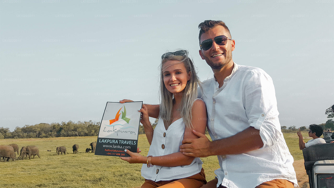 Sigiriya and Minneriya from Negombo (2 Days)