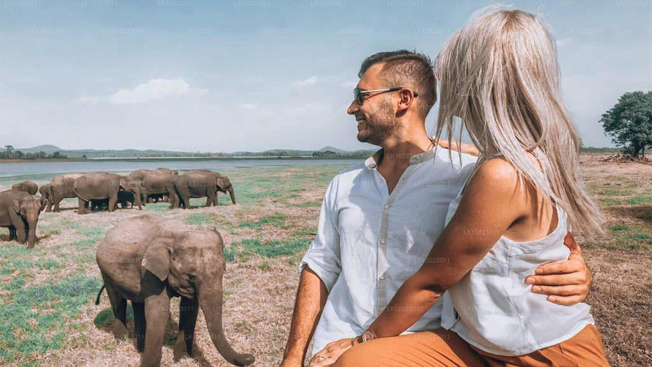 Sigiriya and Minneriya from Negombo (2 Days)