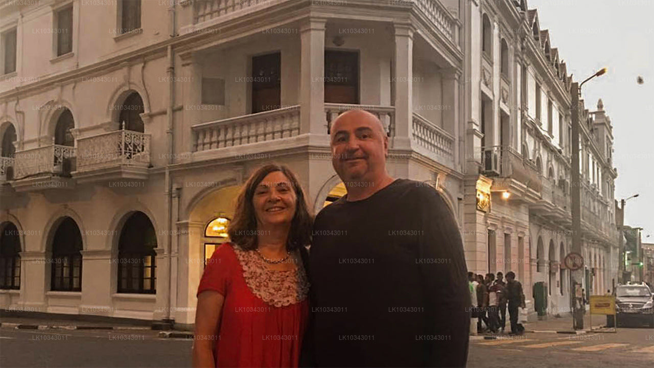 Wonder Island (3 Days)