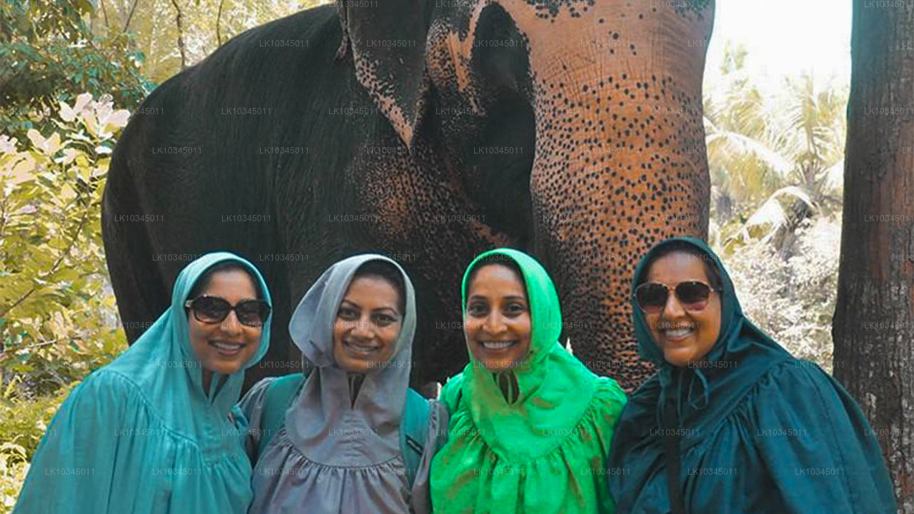 Last Kingdom of Sri Lanka from Colombo (3 Days)