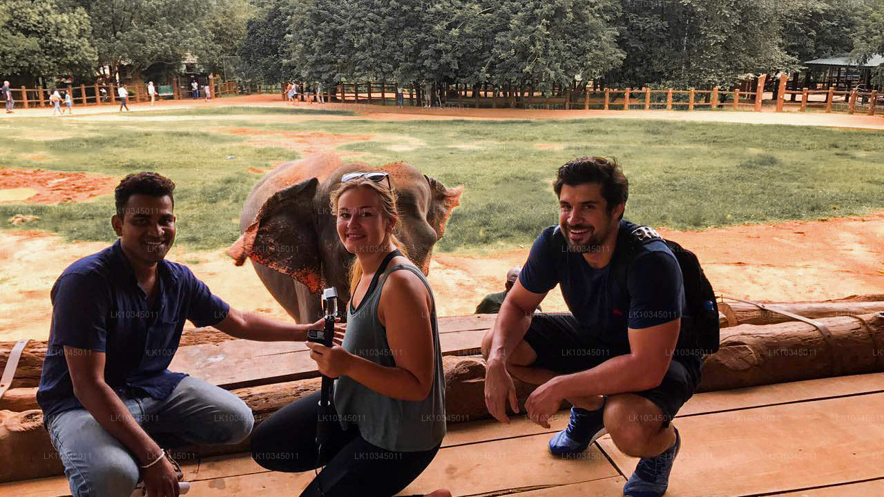 Last Kingdom of Sri Lanka from Colombo (3 Days)