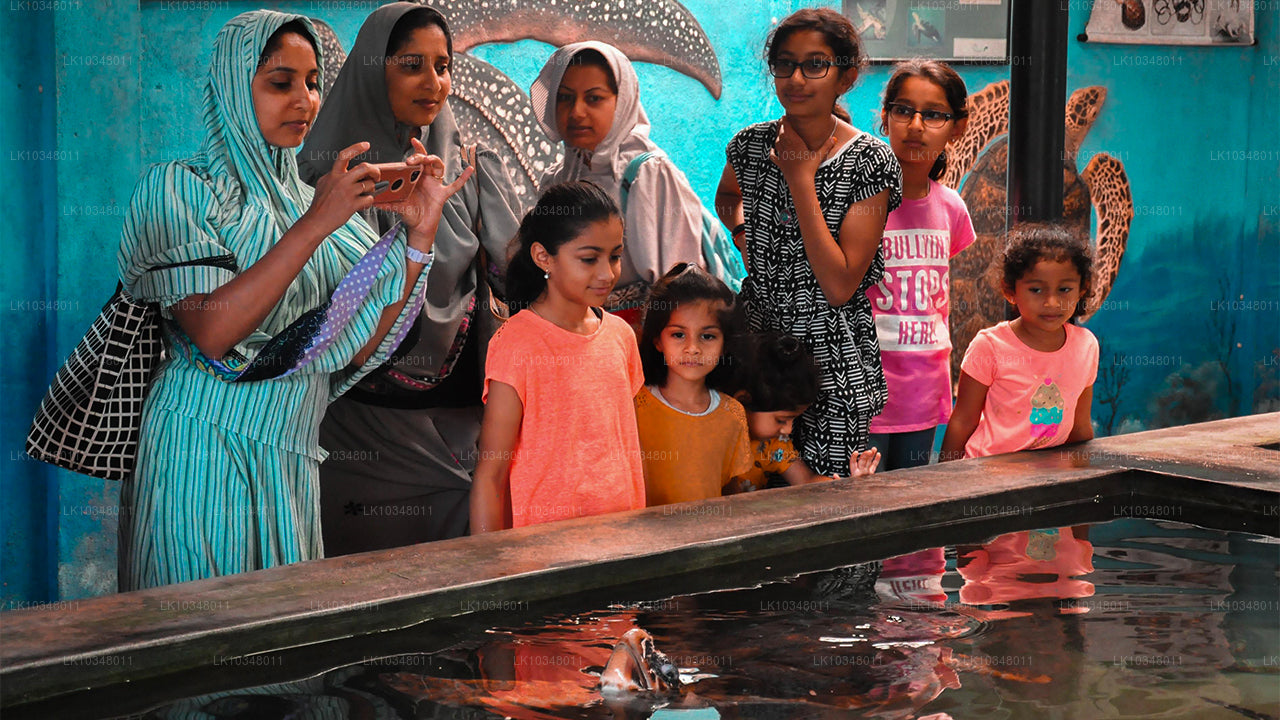 Cosy Sri Lanka (3 Days)