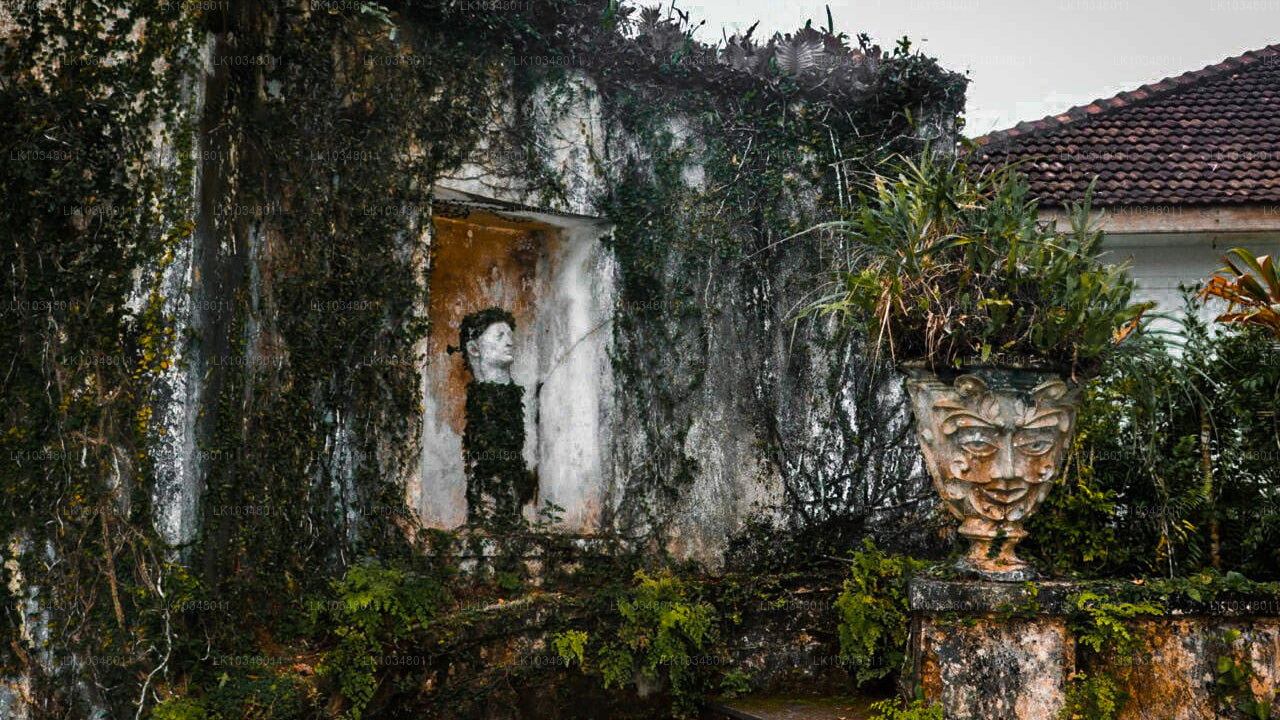 Cosy Sri Lanka (3 Days)