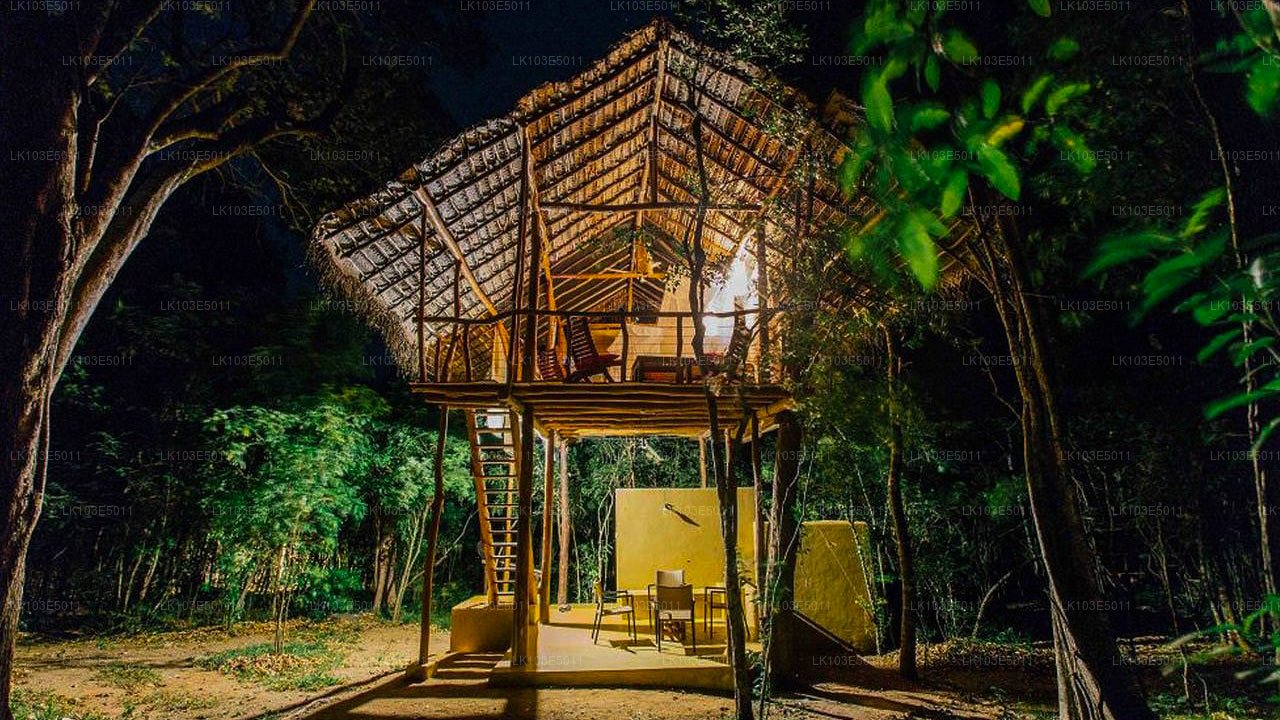 Eco Tours of Sri Lanka (3 Days)