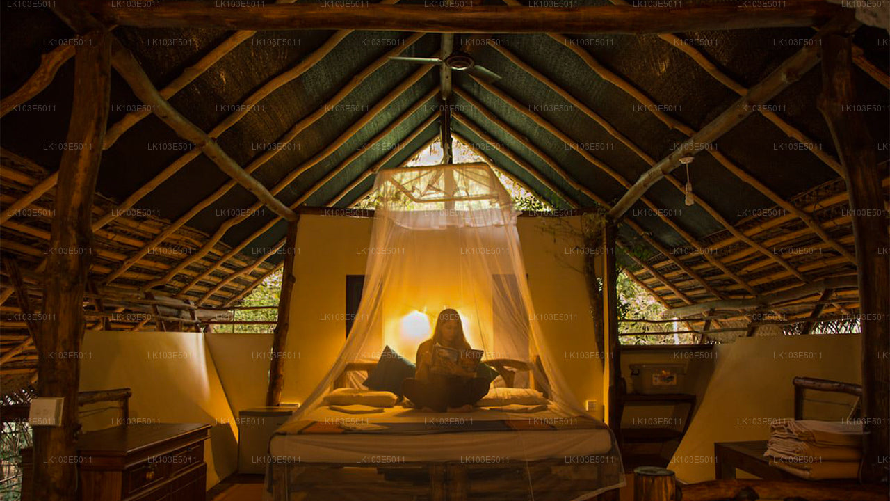 Eco Tours of Sri Lanka (3 Days)