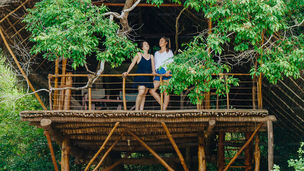 Eco Tours of Sri Lanka (3 Days)