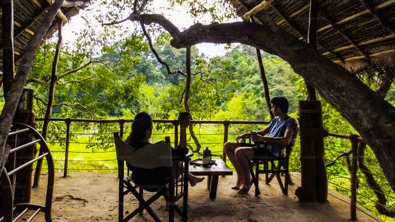 Eco Tours of Sri Lanka (3 Days)