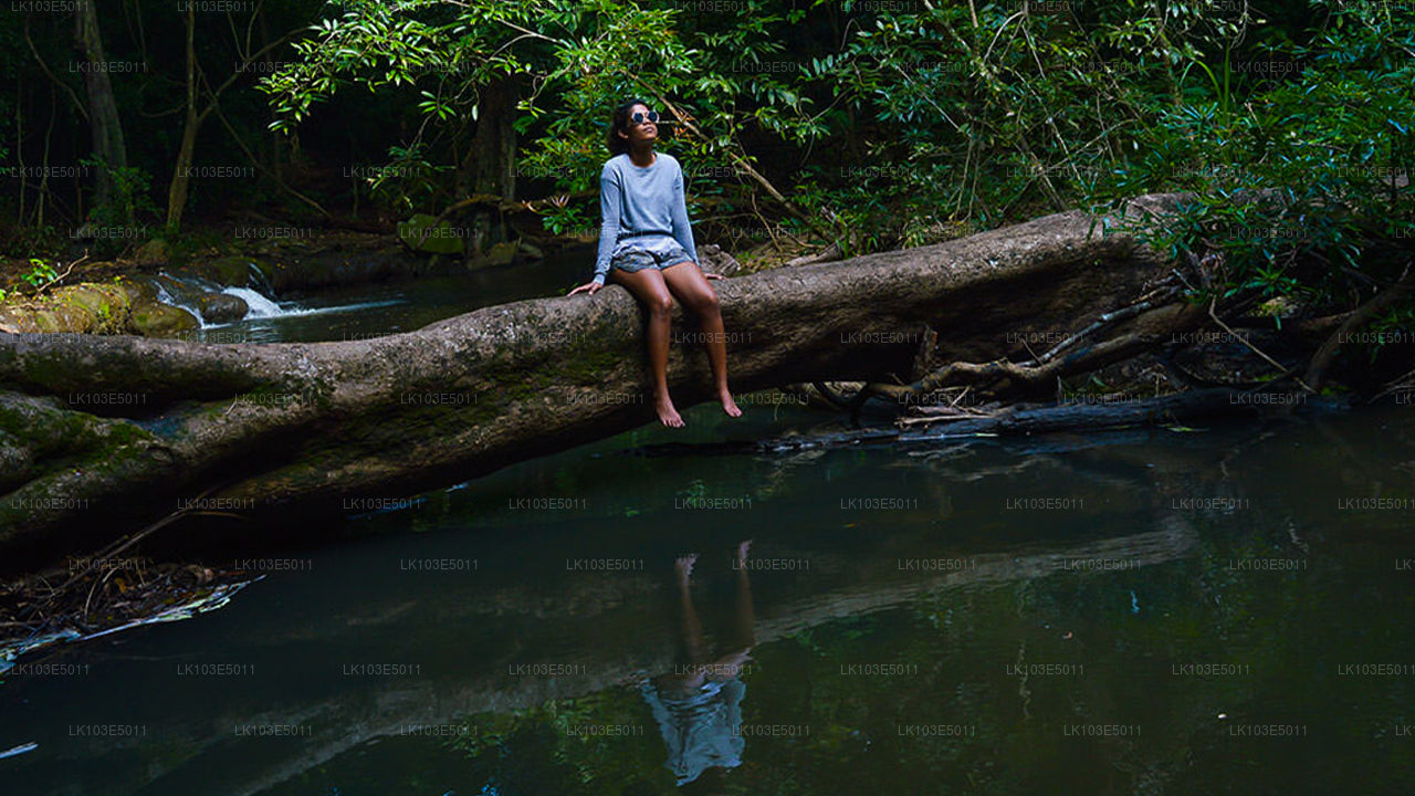 Eco Tours of Sri Lanka (3 Days)