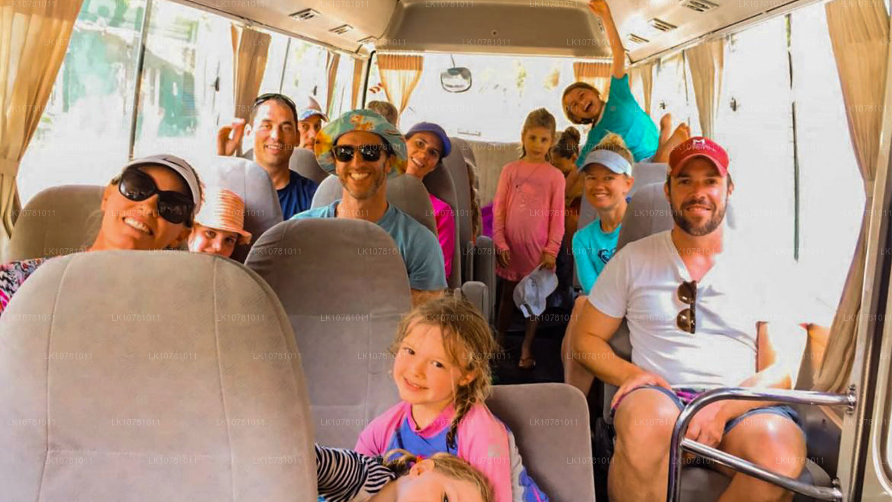 Golden Coast of the South (7 Days)