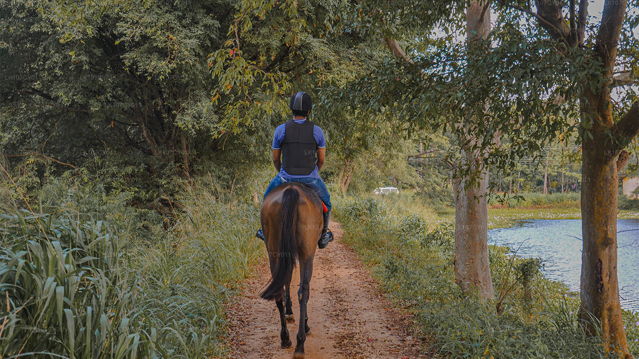 Horse riding tour (7 Days)