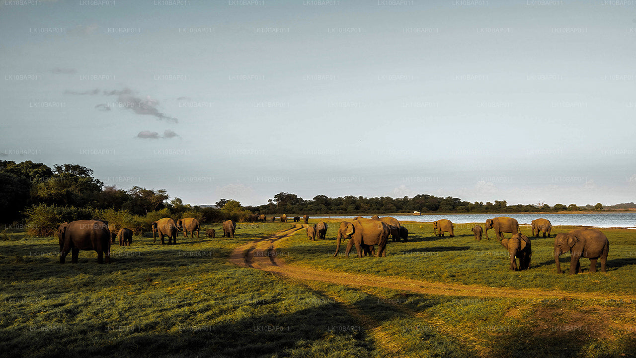 Discovering Sanctuary (11 Days)