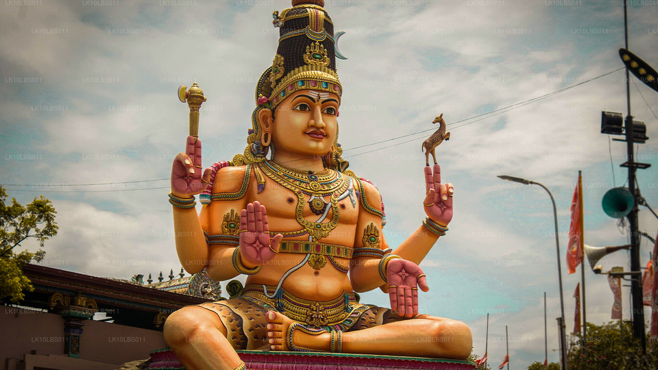 East Explorer (21 Days)