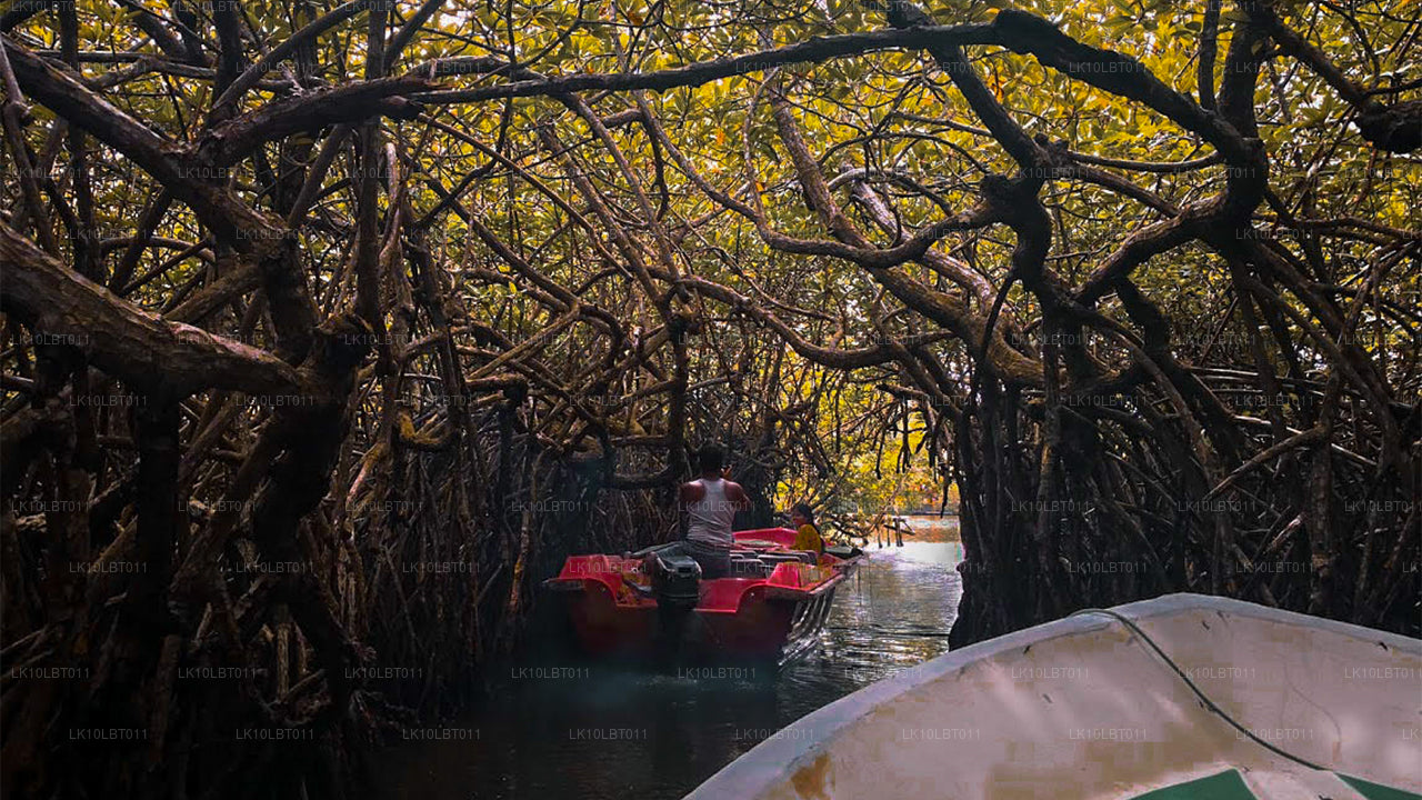 Trail Around The Pearl (21 Days)