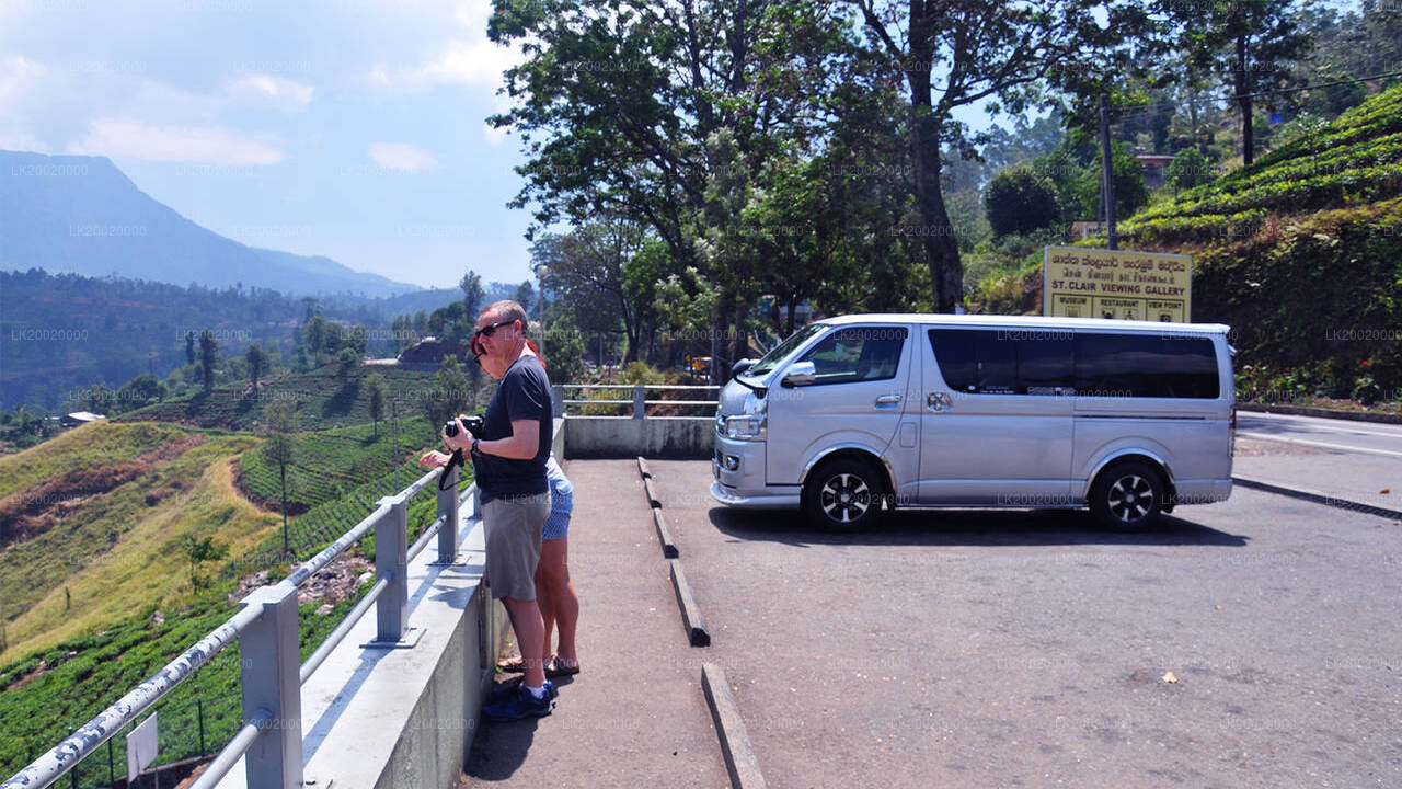 Chauffeur Driven Standard Van Rental