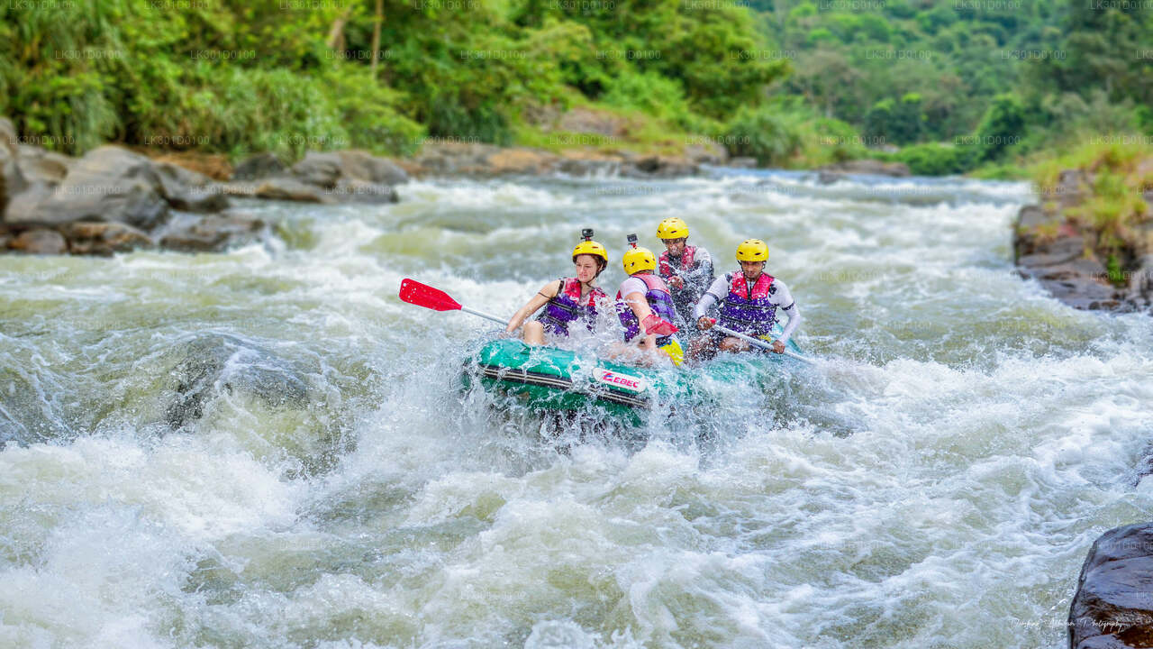 White Water Rafting from Kitulgala