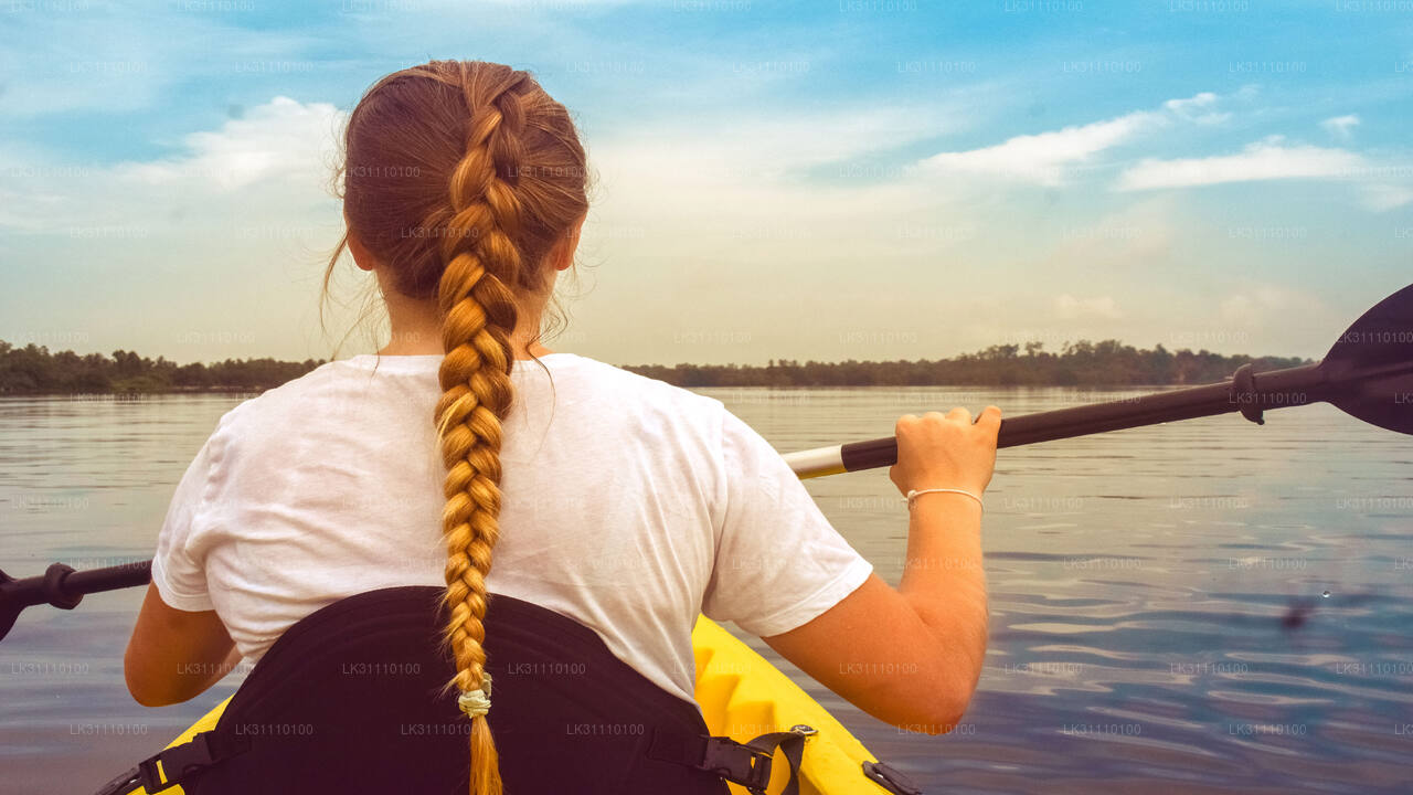 Kayaking at Rathgama Lake from Hikkaduwa