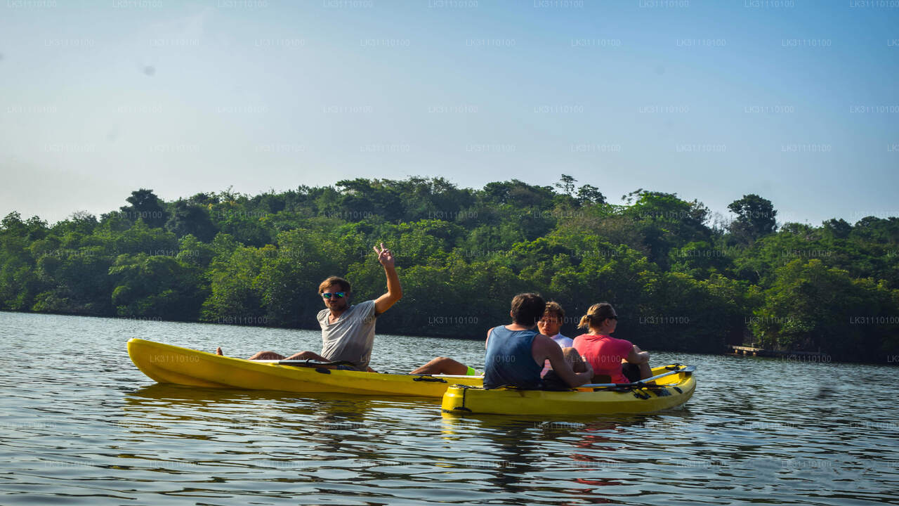 Kayaking at Rathgama Lake from Hikkaduwa