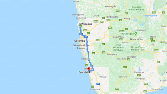Negombo City to Bentota City Private Transfer