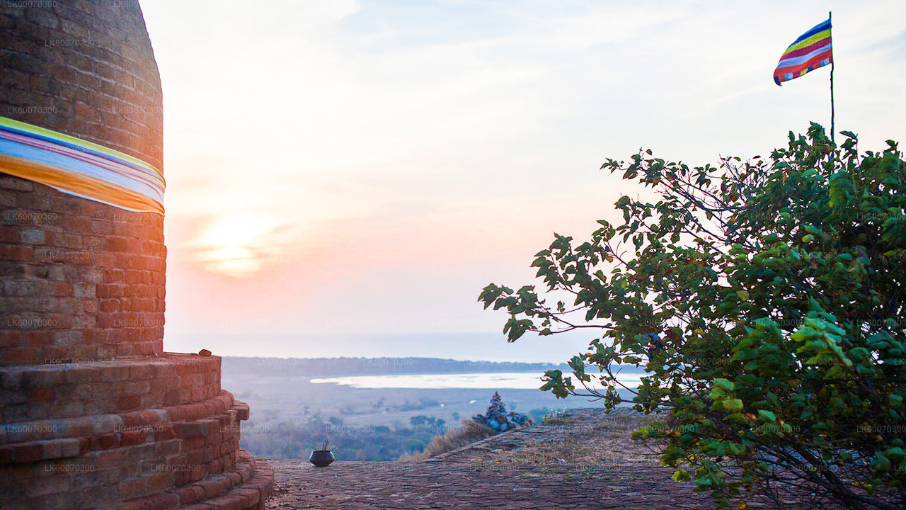 Temple Run Tour from Arugambay